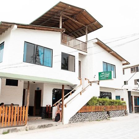 Hostal La Gran Tortuga 比亚米尔港 外观 照片