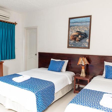 Hostal La Gran Tortuga 比亚米尔港 外观 照片