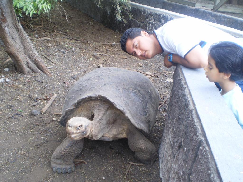 Hostal La Gran Tortuga 比亚米尔港 外观 照片