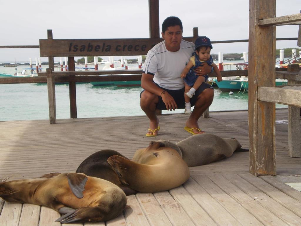 Hostal La Gran Tortuga 比亚米尔港 外观 照片
