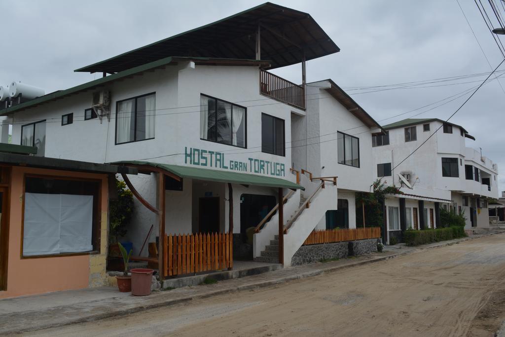 Hostal La Gran Tortuga 比亚米尔港 外观 照片