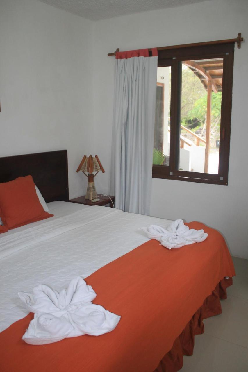 Hostal La Gran Tortuga 比亚米尔港 外观 照片