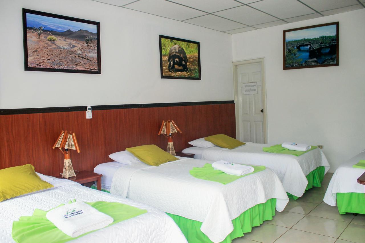 Hostal La Gran Tortuga 比亚米尔港 外观 照片