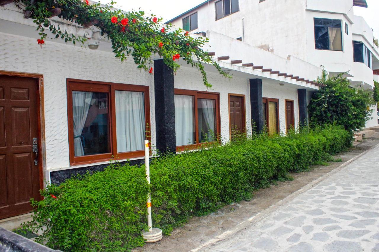 Hostal La Gran Tortuga 比亚米尔港 外观 照片