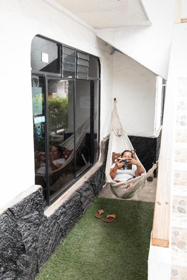 Hostal La Gran Tortuga 比亚米尔港 外观 照片