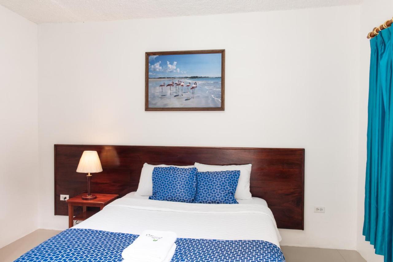 Hostal La Gran Tortuga 比亚米尔港 外观 照片